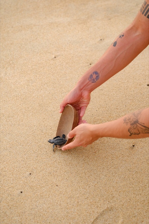 Liberación de tortugas — Puerto Escondido, Oaxaca